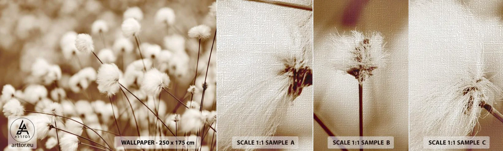 Provbit av fototapet Premium Canvas - Fluffig åkermark - Bomullsblomma, Blomma, Bomullskvist - 100x30 cm