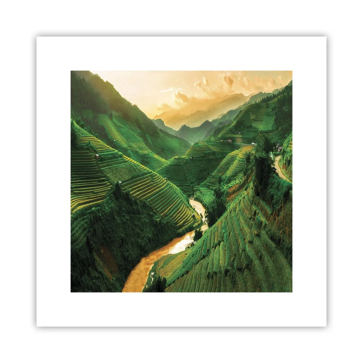 Affisch - Vietnamesisk dal - 30x30 cm