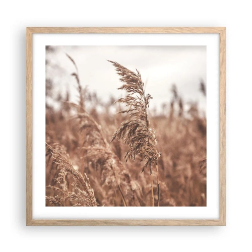 Affisch i ram av ljusek - Hösten är framme på åkrarna - 50x50 cm