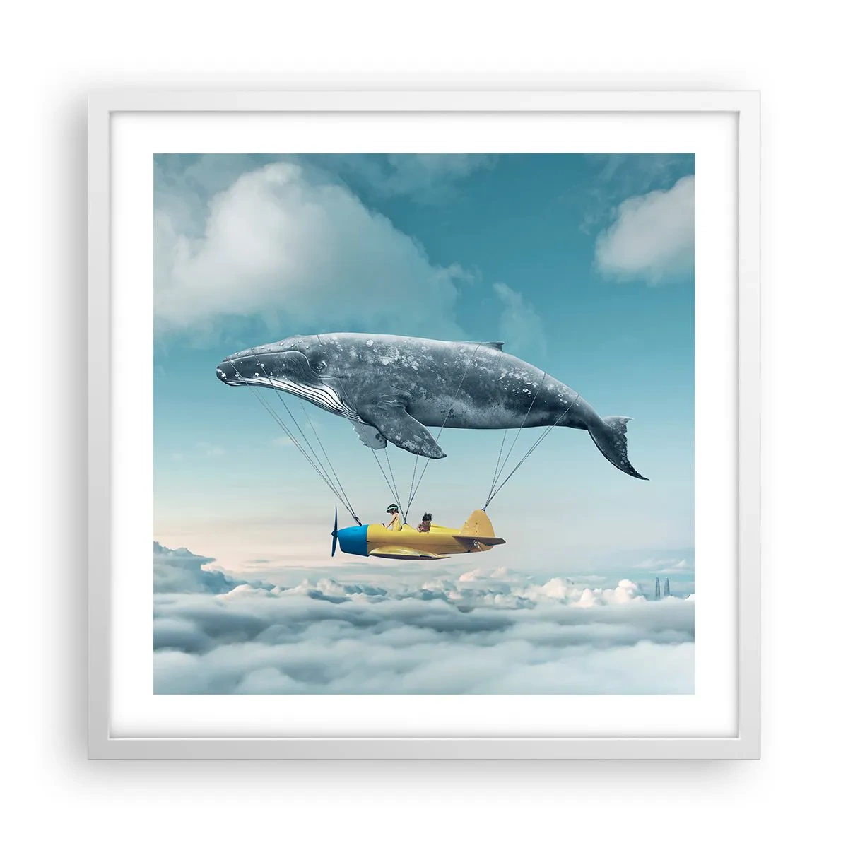 Affisch i vit ram - Varför inte? - 50x50 cm