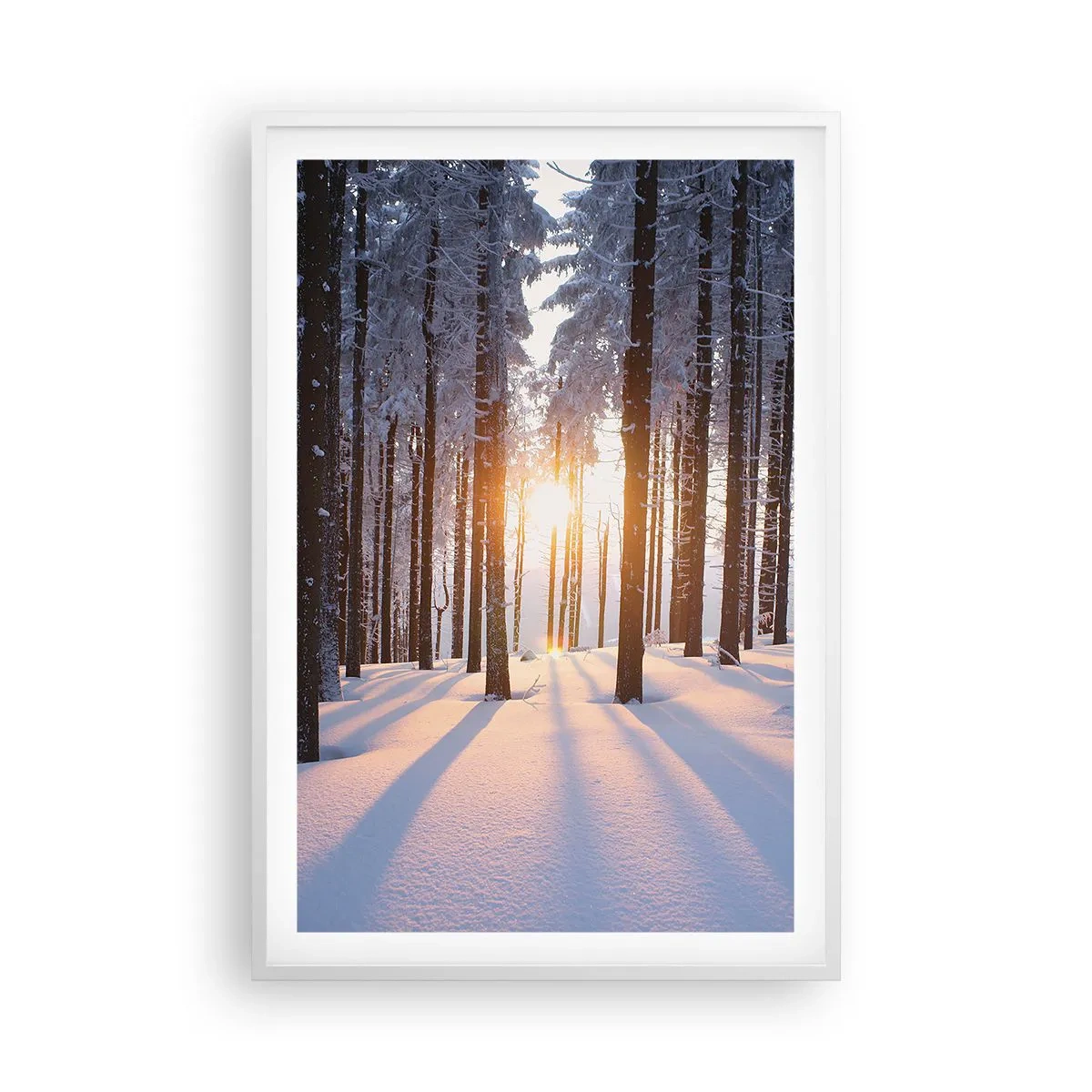 Affisch i vit ram - Tydligt svart på vitt - 61x91 cm