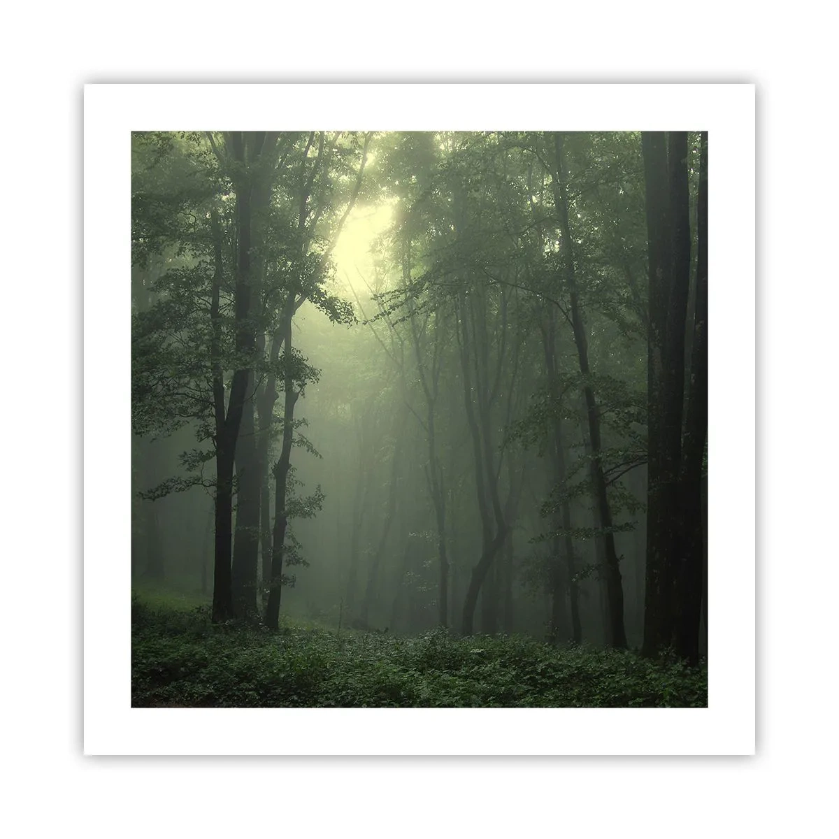Affisch - Innan skogen vaknar - 50x50 cm