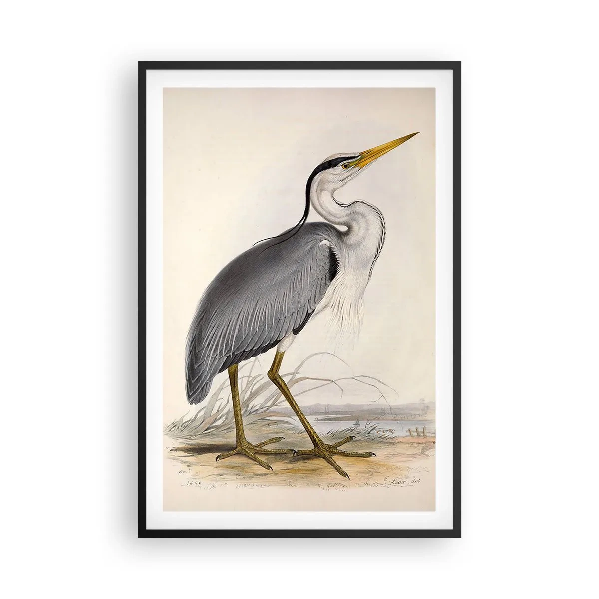 Affisch i svart ram - Hägers charm - 61x91 cm