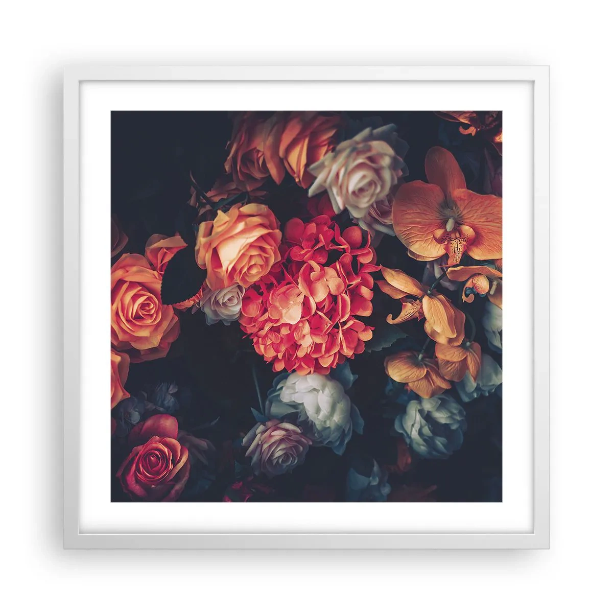 Affisch i vit ram - Som hos de holländska mästarna - 50x50 cm