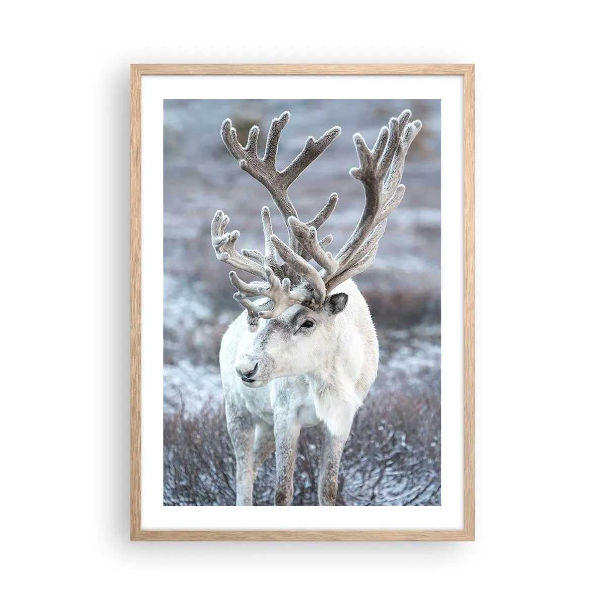 Affisch i ram av ljusek - Porträtt i solsken - 50x70 cm