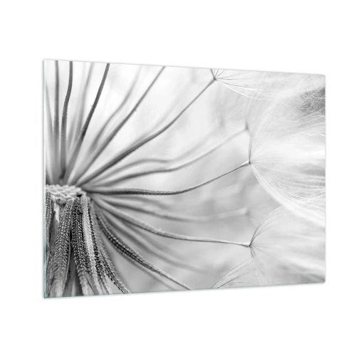 Glastavla - Bild på glas - Makrofotografi av en maskros i svartvita nyanser - 70x50cm - Blåsande, flygande drakar - Modern väggdekoration för vardagsrum och sovrum ARTTOR
