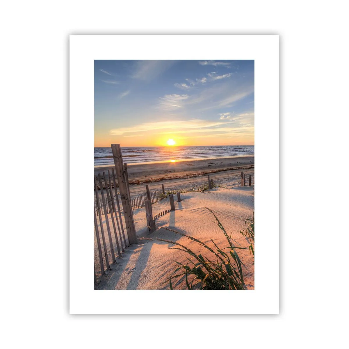 Affisch - Vindens sken och skugga - 30x40 cm