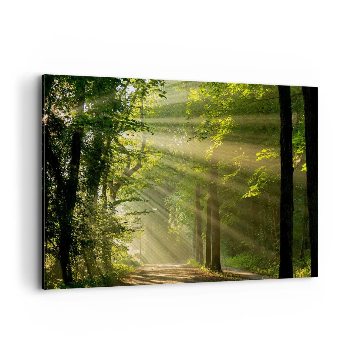 Canvastavla - Bild på duk - En stund i skogen - 120x80 cm