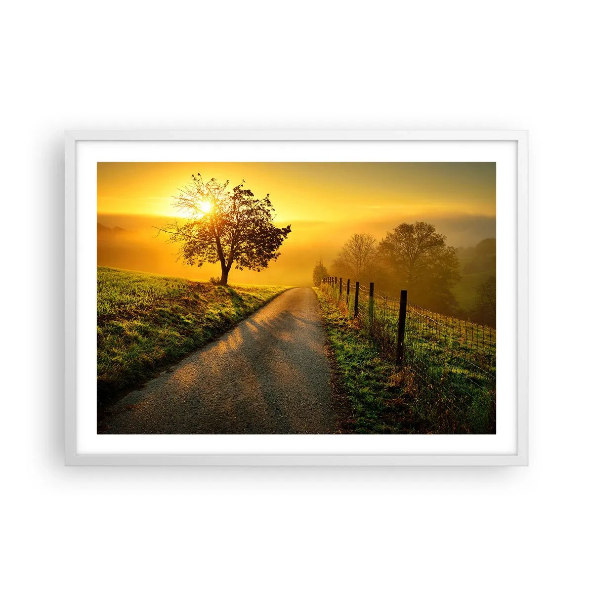 Affisch i vit ram - Honungfärgad eftermiddag - 70x50 cm