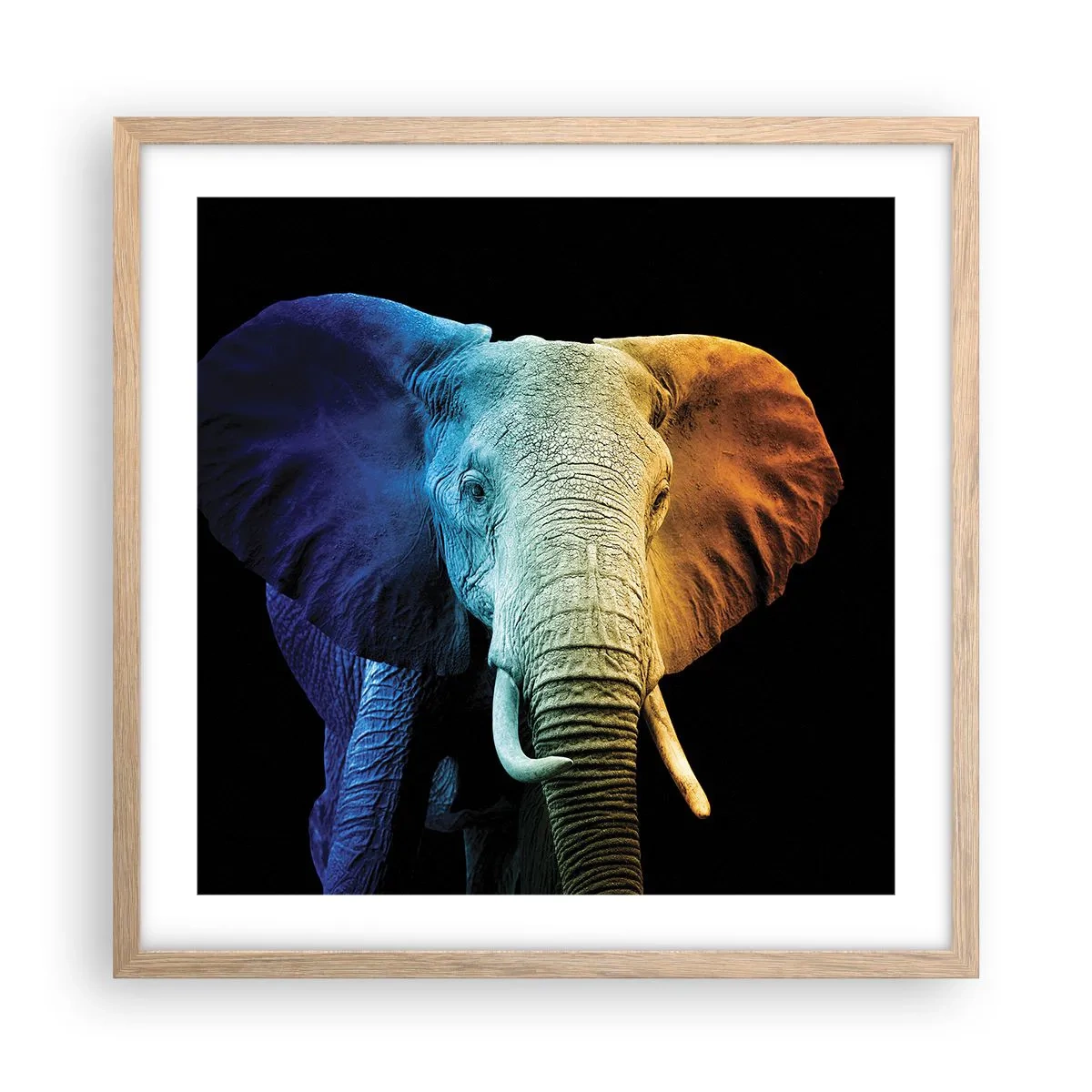 Affisch i ram av ljusek - Excentriker, ej kuf - 50x50 cm