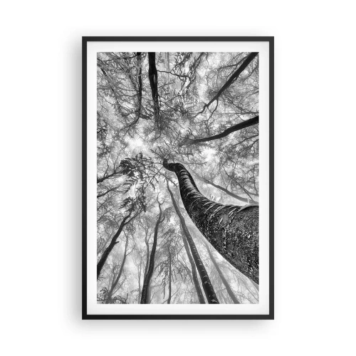 Affisch i svart ram - Kapplöpning mot ljuset - 61x91 cm