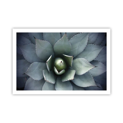 Affisch - Lockar och varnar - 91x61 cm