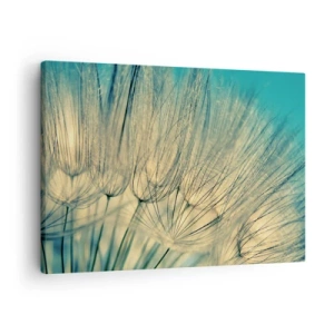 Canvastavla - Bild på duk - Makrofotografi av maskrosor i dagsljus - 70x50cm - I väntan på vinden - Modern väggdekoration för vardagsrum och sovrum ARTTOR