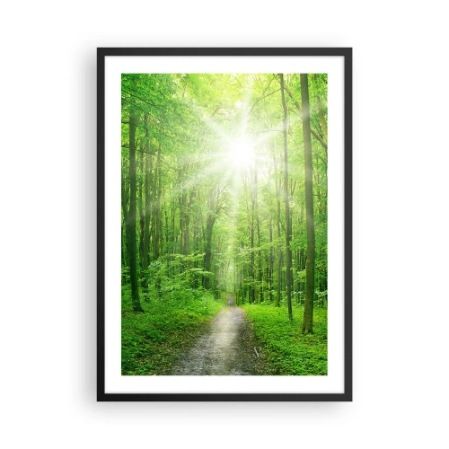 Affisch i svart ram - En skogsstig upplyst av solens strålar - 50x70cm - Grön domkyrka - Modern väggdekoration för vardagsrum och sovrum ARTTOR