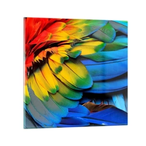 Glastavla - Bild på glas - Paradisfågel - 60x60 cm