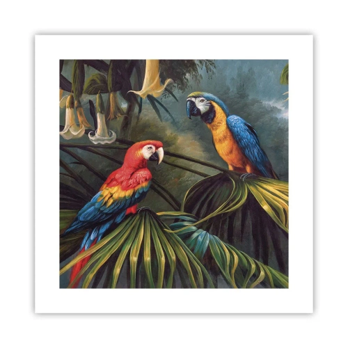 Affisch - Romantiken i tropikerna - 40x40 cm