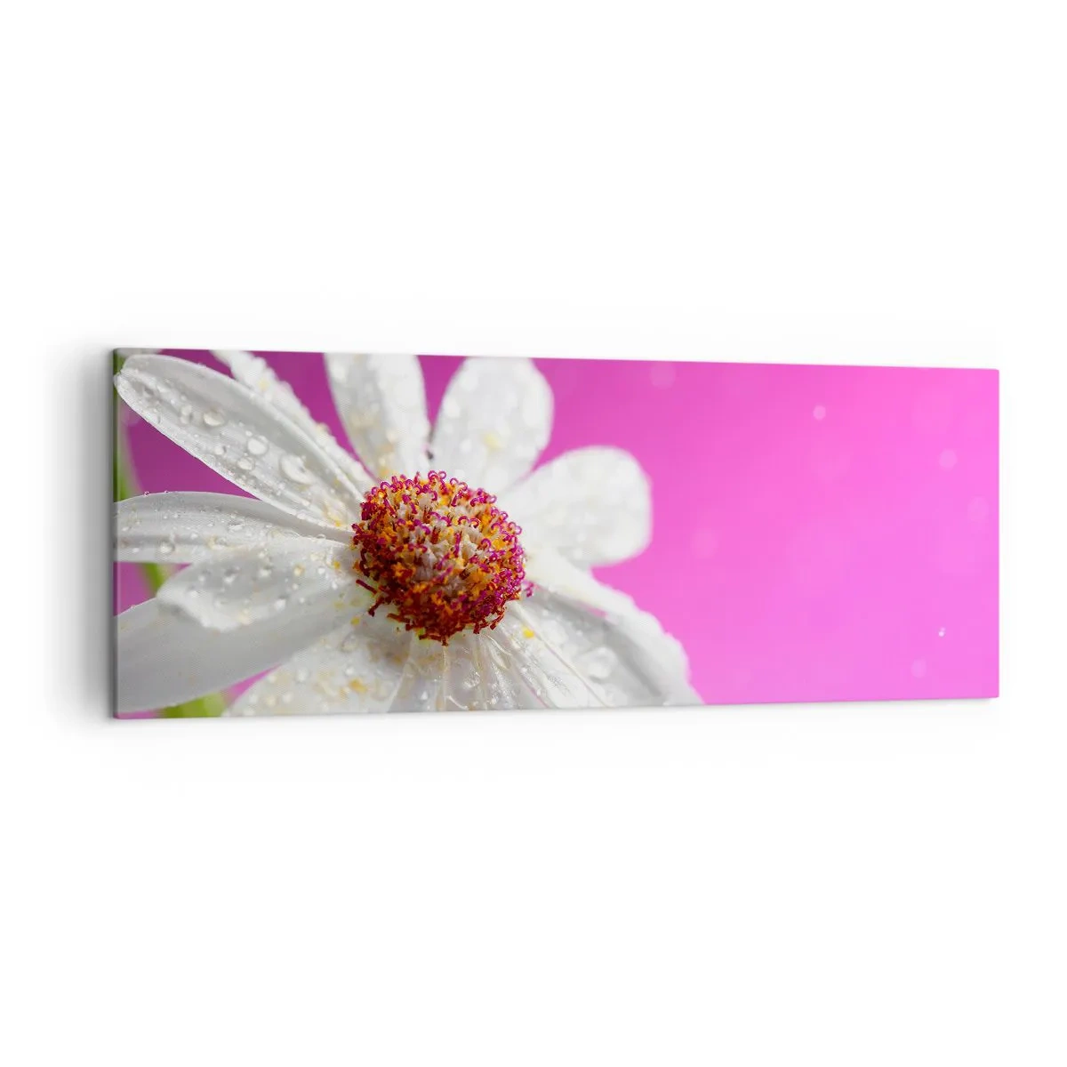 Canvastavla - Bild på duk - Sparsam i sin skönhet - 140x50 cm