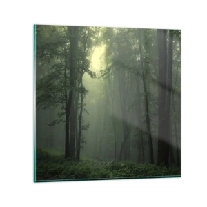 Glastavla - Bild på glas - Innan skogen vaknar - 70x70 cm