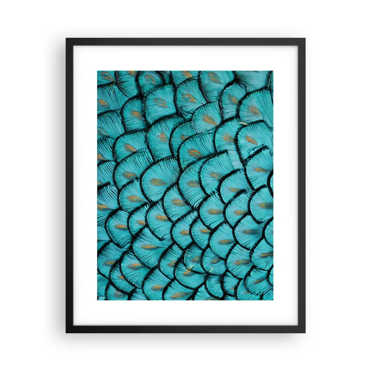 Affisch i svart ram - Den stora fjädergalan - 40x50 cm