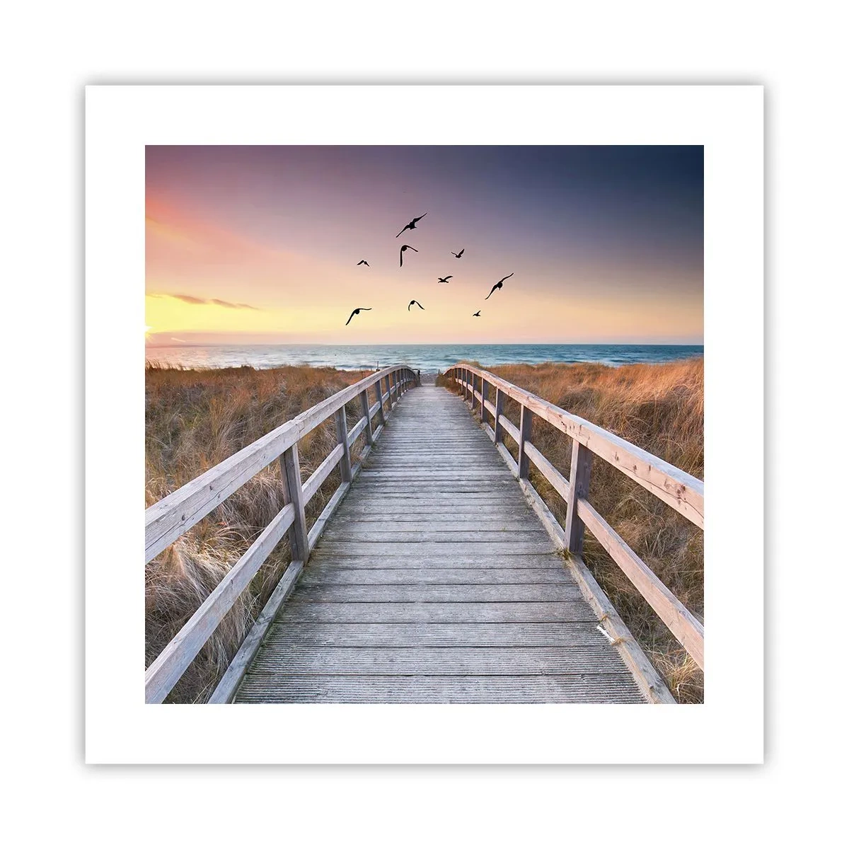 Affisch - Startbana - 40x40 cm