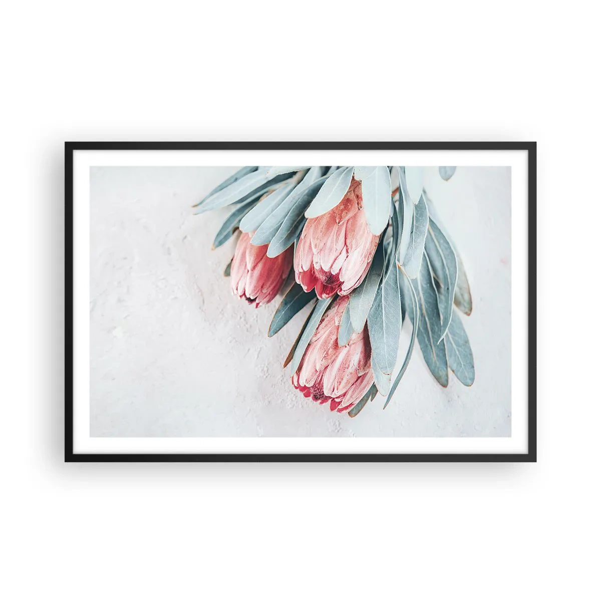Affisch i svart ram - Generad av sin skönhet - 91x61 cm