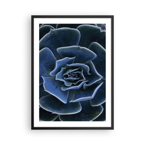 Affisch i svart ram - Konstnärlig närbild av ett geometriskt suckulentmönster - 50x70cm - Öknens blomma - Modern väggdekoration för vardagsrum och sovrum ARTTOR