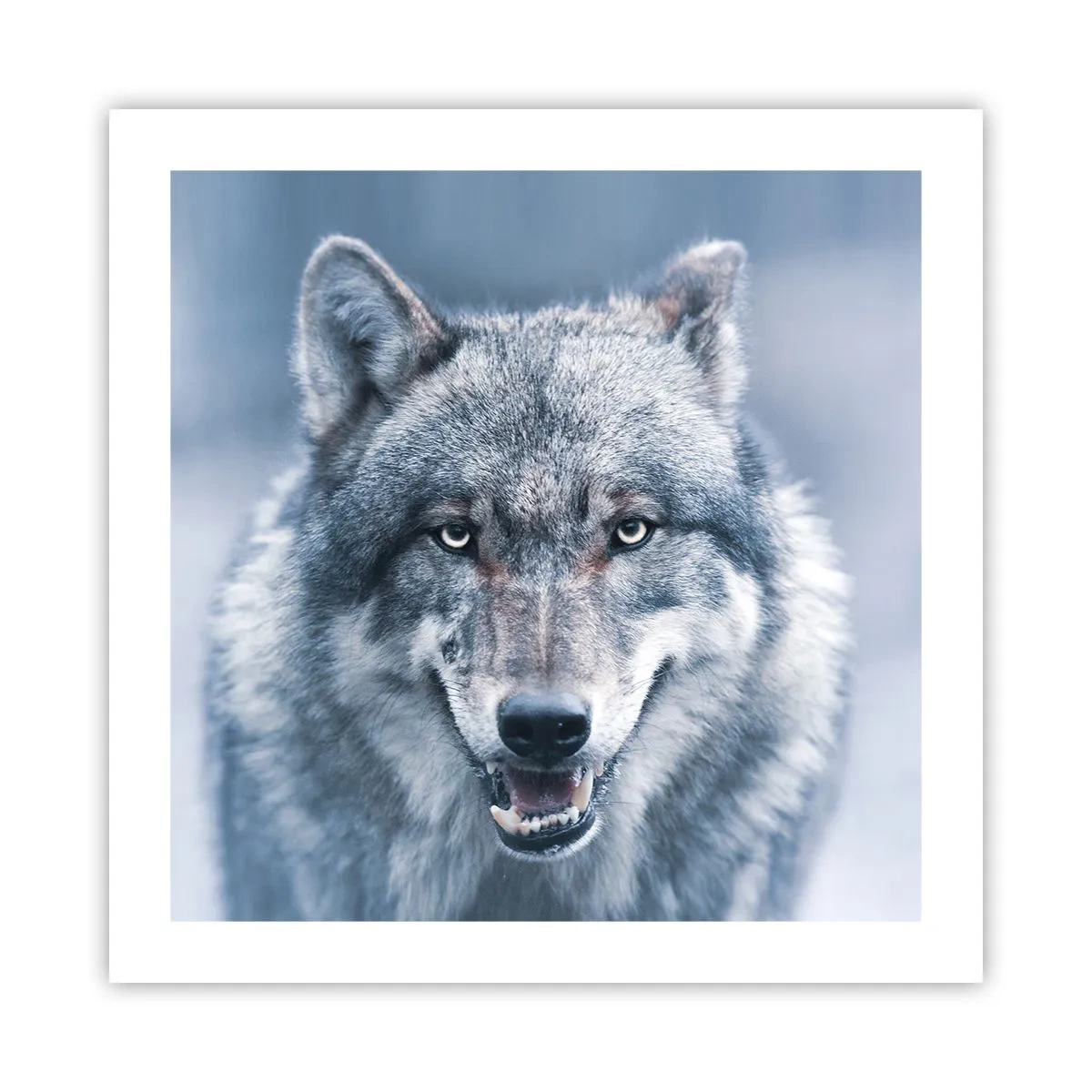 Affisch - Tar du utmaningen? - 50x50 cm