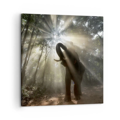 Canvastavla - Bild på duk - Under en lycklig stjärna - 60x60 cm