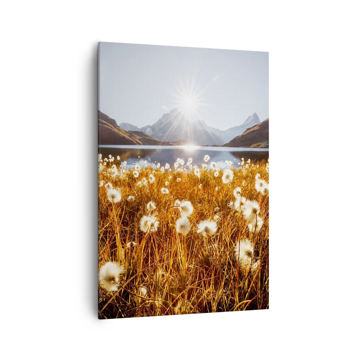 Canvastavla - Bild på duk - Bergets hårdhet, gräsets mjukhet - 70x100 cm