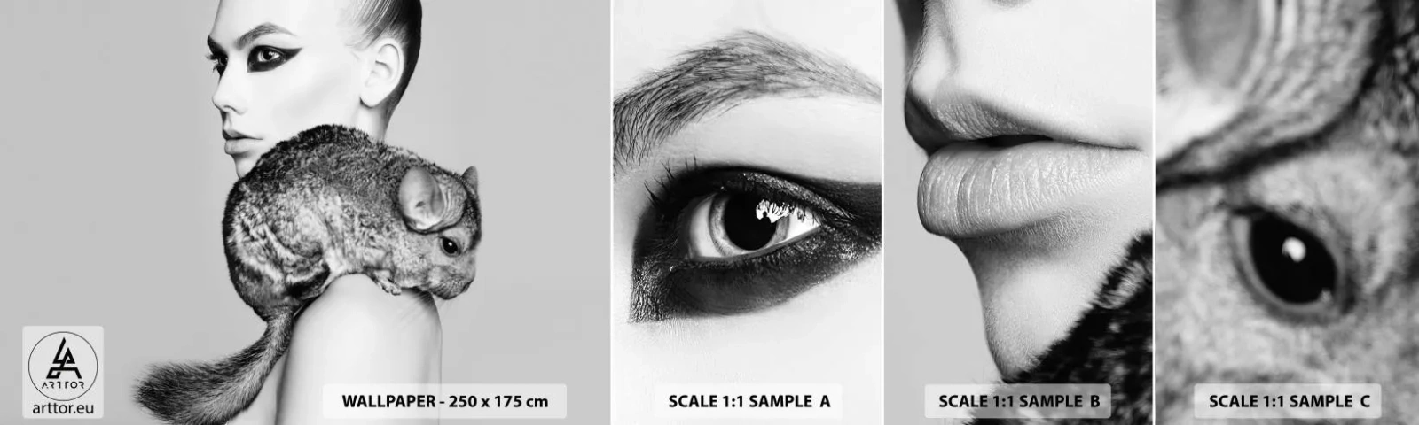 Fototapet Prov Standard Eco - Dam med chinchilla - Kvinna, Kvinna Med Chinchilla, Modell - 100x30 cm