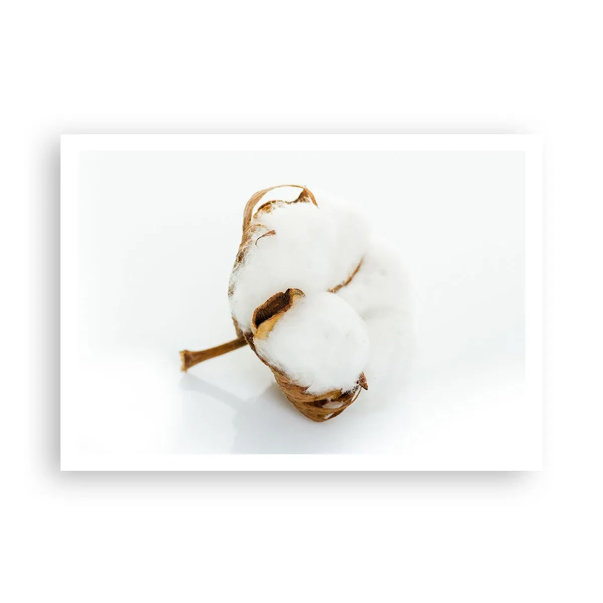 Affisch - Mjuk av naturen - 100x70 cm