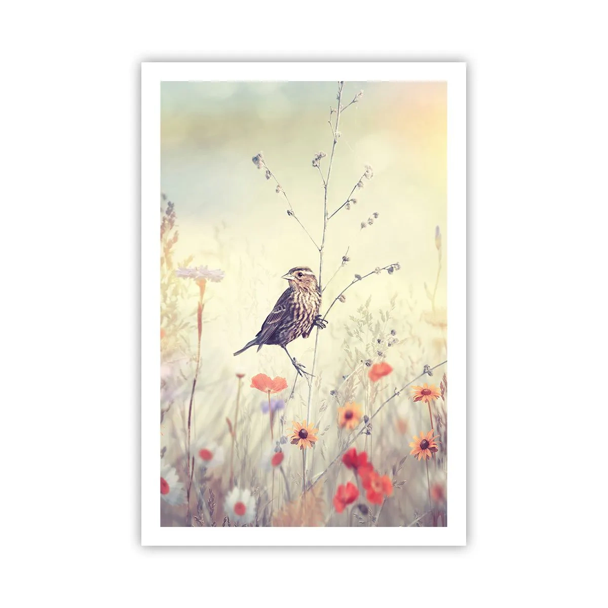 Affisch - Fågelporträtt med en äng i bakgrunden - 61x91 cm