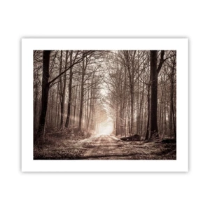 Affisch - Skogens domkyrka - 50x40 cm