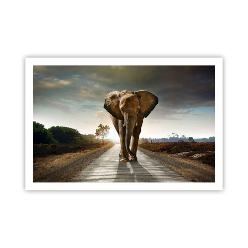 Affisch - Inte alls i en porslinsbutik - 91x61 cm