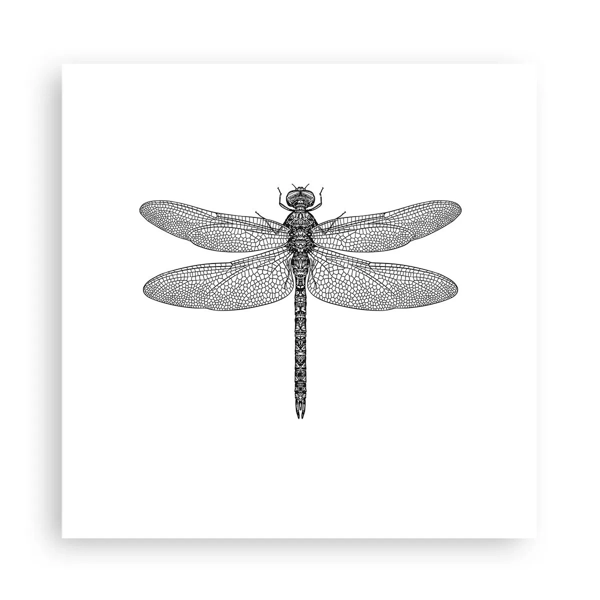 Affisch - Precision i naturen - 30x30 cm