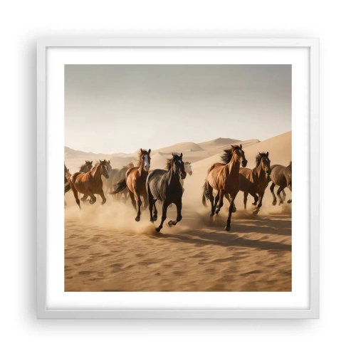 Affisch i vit ram - Fri som vinden - 50x50 cm