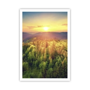 Affisch - Trädtoppar och bergstoppar - 70x100 cm