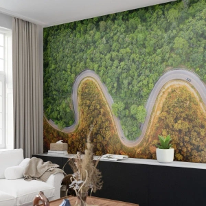 Fototapet Standard Eco - En fågelperspektiv av en slingrande väg genom en grön och gyllene skog - 100x70cm - Gränser och genombrott - Modern väggdekoration för vardagsrum och sovrum ARTTOR