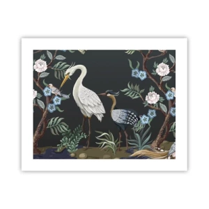 Affisch - Fågelparad - 50x40 cm