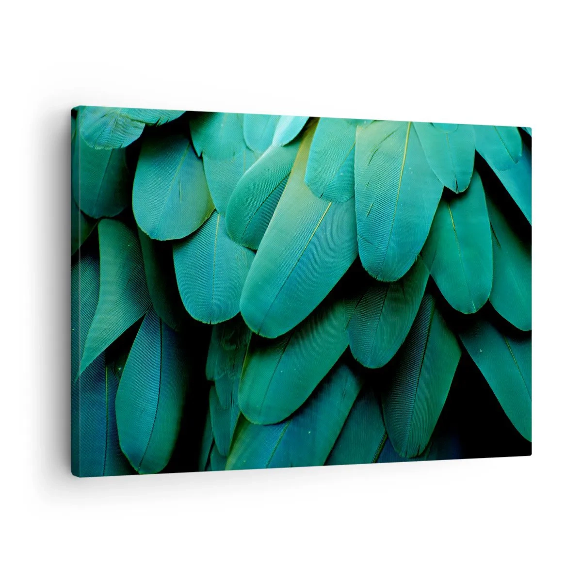 Canvastavla - Bild på duk - Fjäderdetaljer i gröna nyanser - 70x50cm - Precision av papegojans natur - Modern väggdekoration för vardagsrum och sovrum ARTTOR