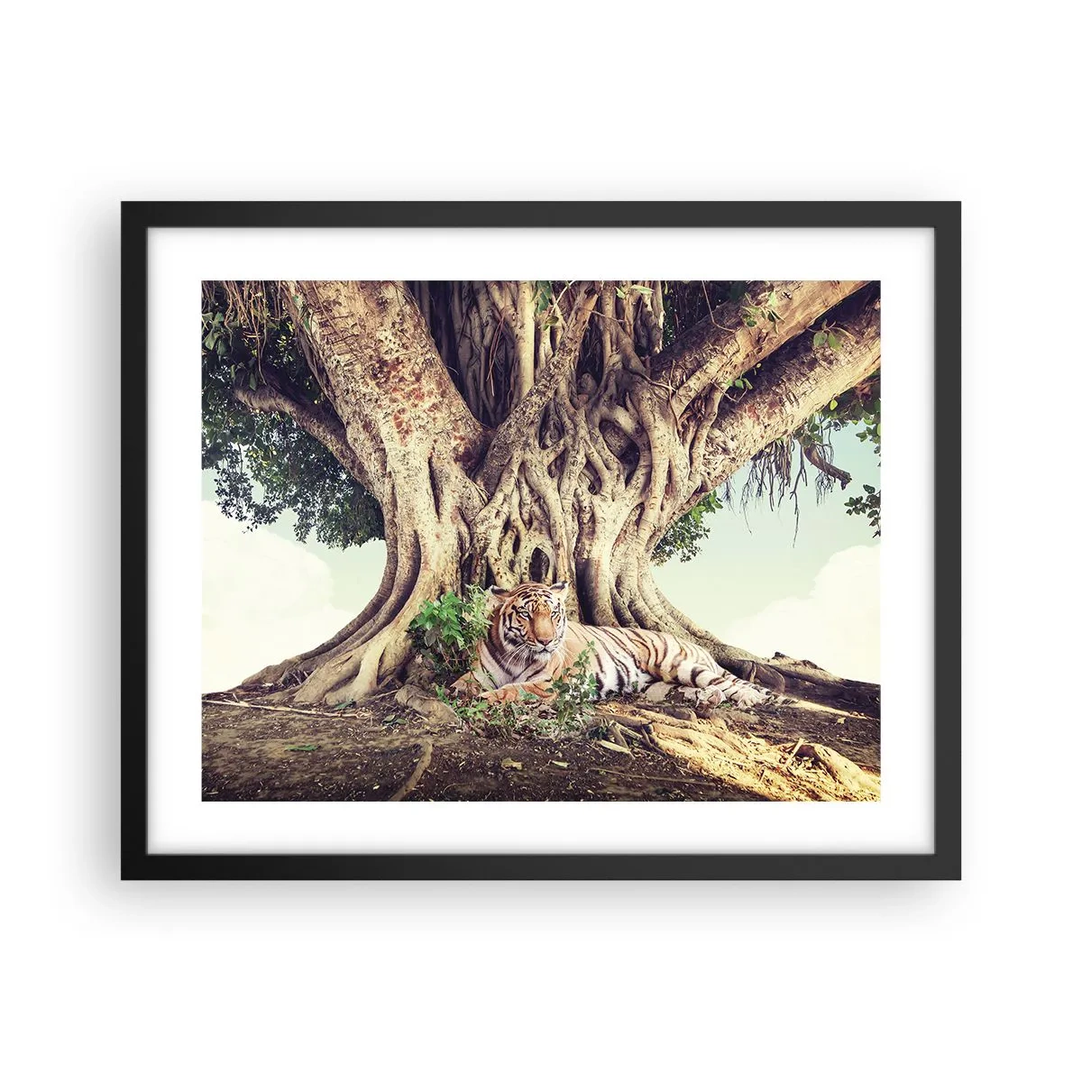 Affisch i svart ram - Vi från Första Moseboken - 50x40 cm