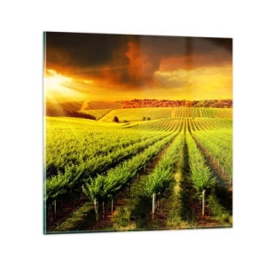 Glastavla - Bild på glas - Under australiensiska solen - 60x60 cm