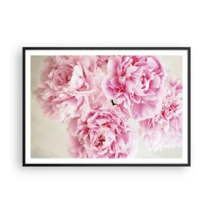 Affisch i svart ram - Rosa prakt - 100x70 cm
