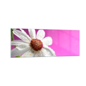 Glastavla - Bild på glas - Sparsam i sin skönhet - 140x50 cm