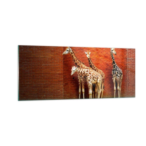 Glastavla - Bild på glas - Ser ni någon akacia? - 100x40 cm