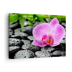 Canvastavla - Bild på duk - Rosa orkidé på våta svarta stenar med gröna blad - 70x50cm - Som öppet hjärta - Modern väggdekoration för vardagsrum och sovrum ARTTOR