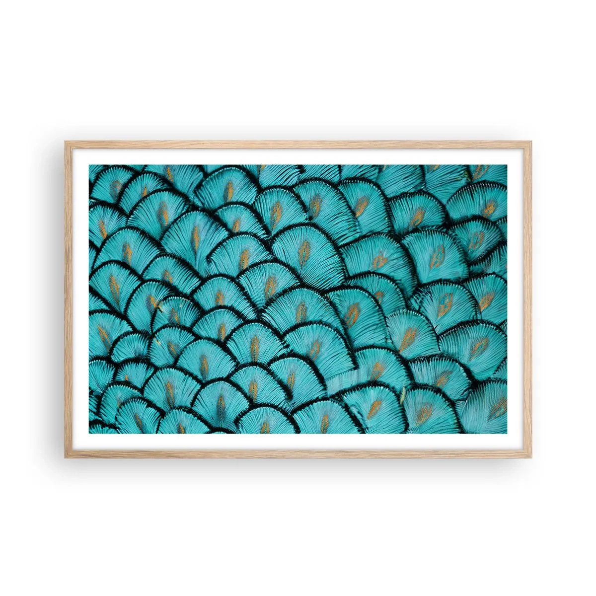 Affisch i ram av ljusek - Den stora fjädergalan - 91x61 cm