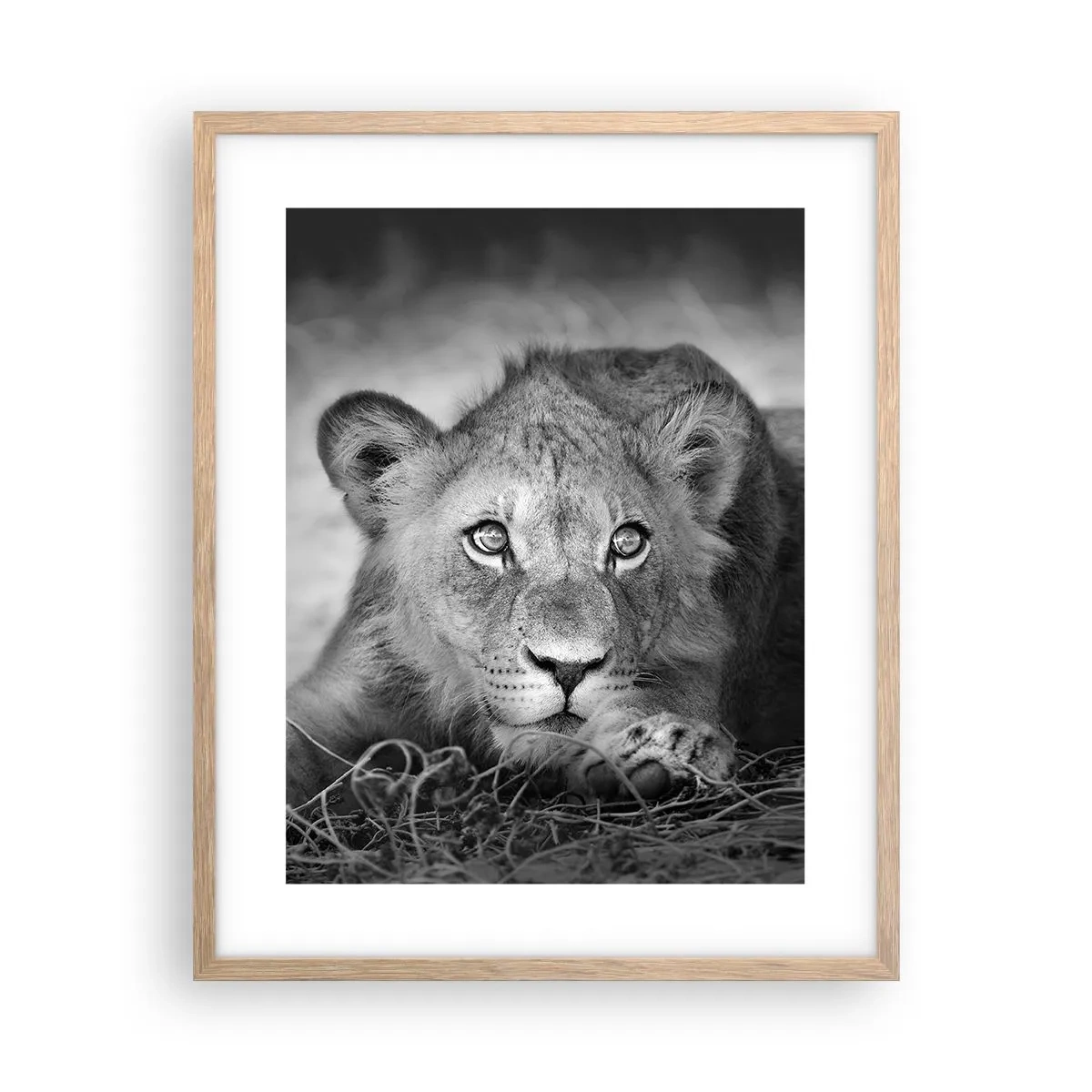 Affisch i ram av ljusek - Kunglig valp - 40x50 cm