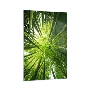 Glastavla - Bild på glas - I en bambushage - 70x100 cm