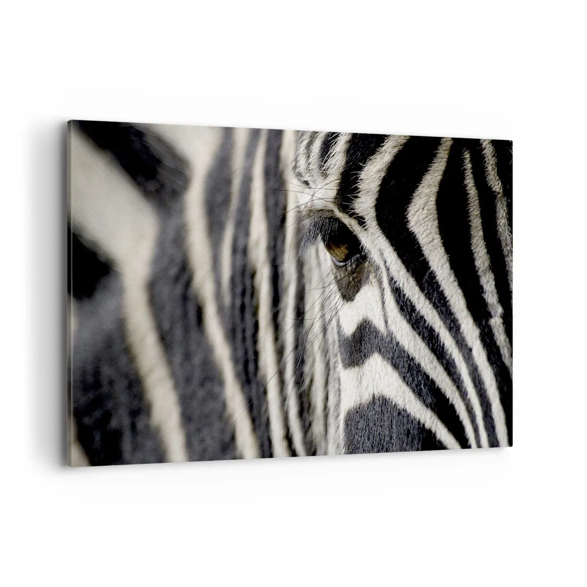 Canvastavla - Bild på duk - Randig porträtt - 120x80 cm